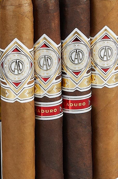 CAO Gold 4-Cigar Sampler Box